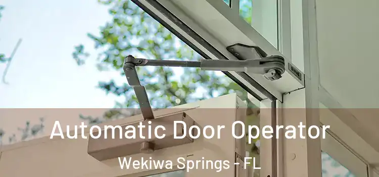Automatic Door Operator Wekiwa Springs - FL