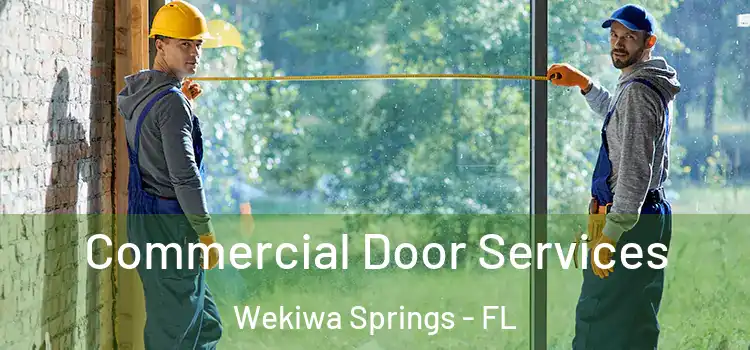  Commercial Door Services Wekiwa Springs - FL