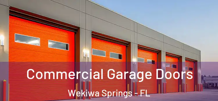  Commercial Garage Doors Wekiwa Springs - FL
