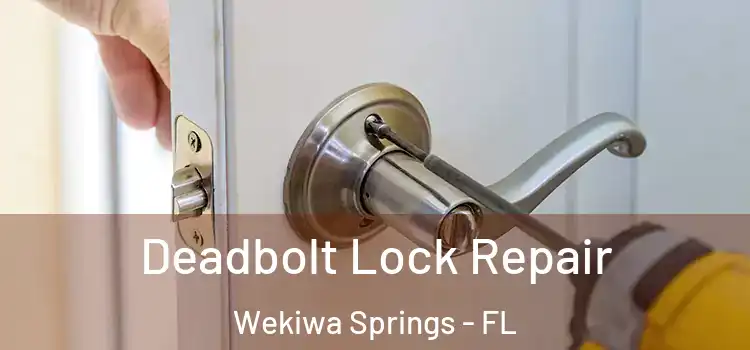  Deadbolt Lock Repair Wekiwa Springs - FL