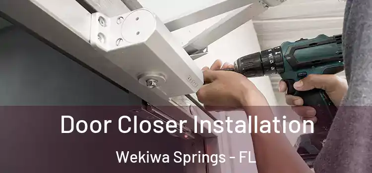 Door Closer Installation Wekiwa Springs - FL
