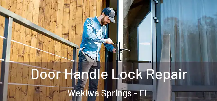  Door Handle Lock Repair Wekiwa Springs - FL