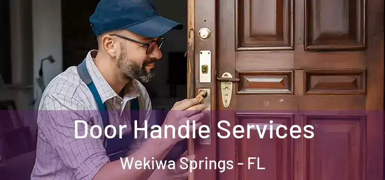 Door Handle Services Wekiwa Springs - FL