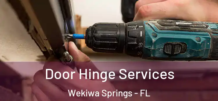  Door Hinge Services Wekiwa Springs - FL