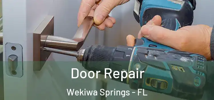  Door Repair Wekiwa Springs - FL