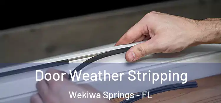  Door Weather Stripping Wekiwa Springs - FL