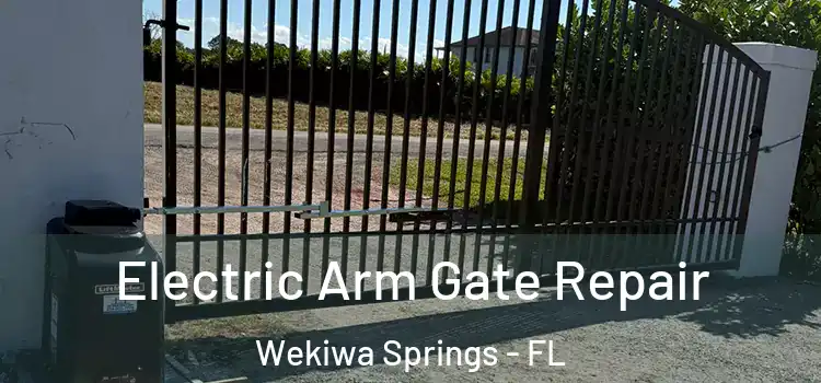 Electric Arm Gate Repair Wekiwa Springs - FL