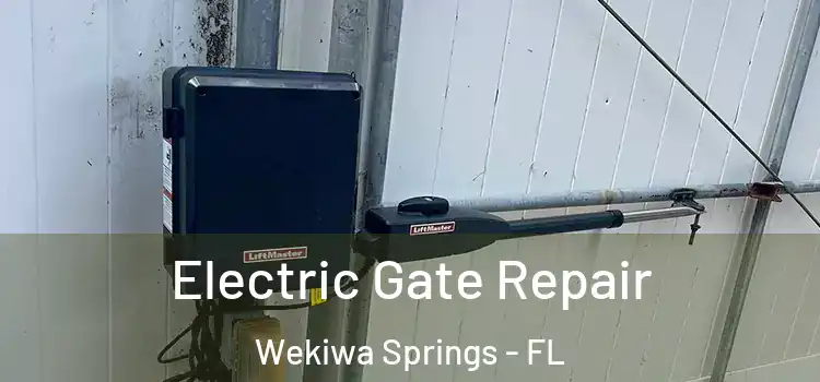  Electric Gate Repair Wekiwa Springs - FL