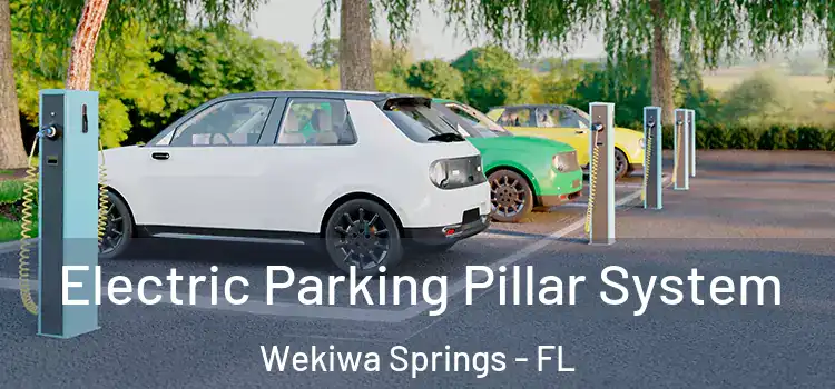 Electric Parking Pillar System Wekiwa Springs - FL