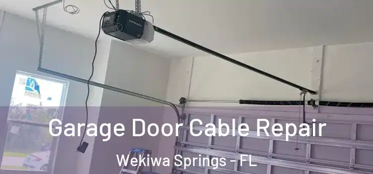 Garage Door Cable Repair Wekiwa Springs - FL