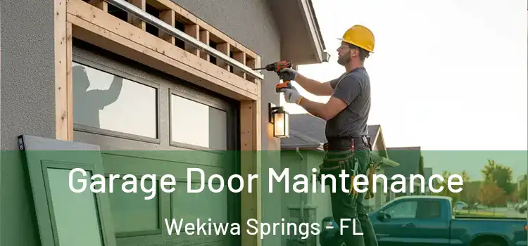  Garage Door Maintenance Wekiwa Springs - FL