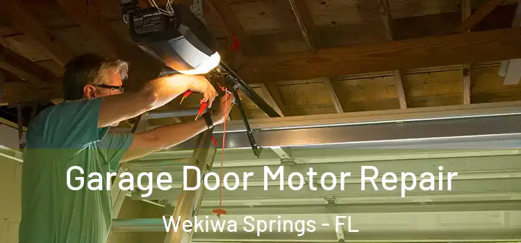  Garage Door Motor Repair Wekiwa Springs - FL