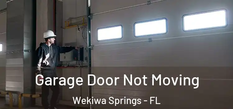  Garage Door Not Moving Wekiwa Springs - FL