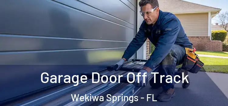  Garage Door Off Track Wekiwa Springs - FL