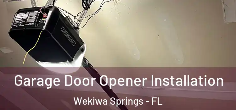  Garage Door Opener Installation Wekiwa Springs - FL