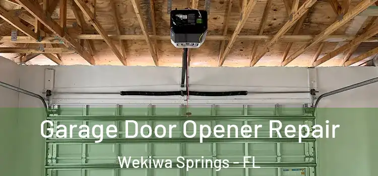  Garage Door Opener Repair Wekiwa Springs - FL