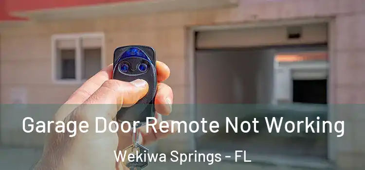  Garage Door Remote Not Working Wekiwa Springs - FL