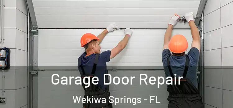  Garage Door Repair Wekiwa Springs - FL
