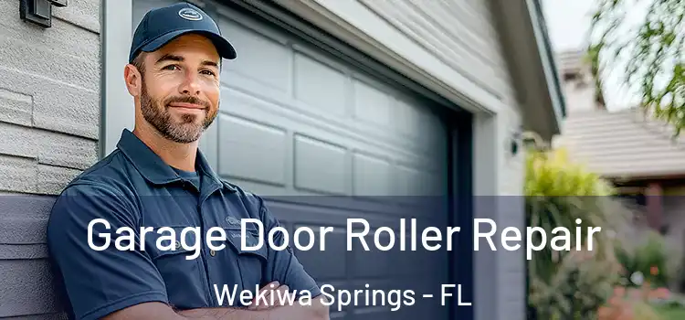  Garage Door Roller Repair Wekiwa Springs - FL