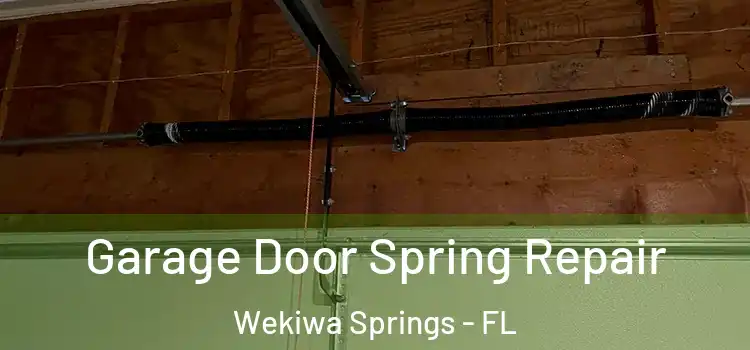  Garage Door Spring Repair Wekiwa Springs - FL