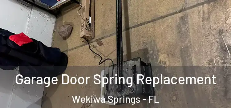  Garage Door Spring Replacement Wekiwa Springs - FL