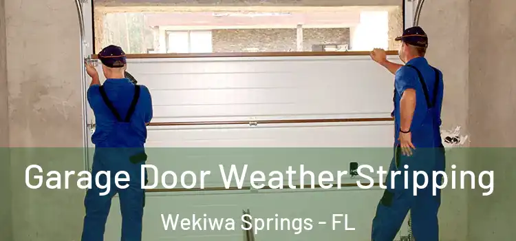  Garage Door Weather Stripping Wekiwa Springs - FL