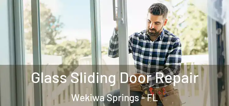  Glass Sliding Door Repair Wekiwa Springs - FL