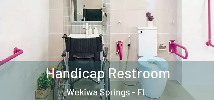 Handicap Restroom Wekiwa Springs - FL