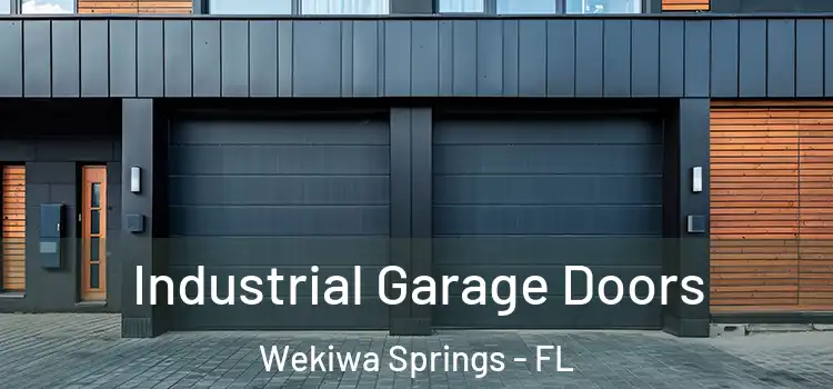  Industrial Garage Doors Wekiwa Springs - FL