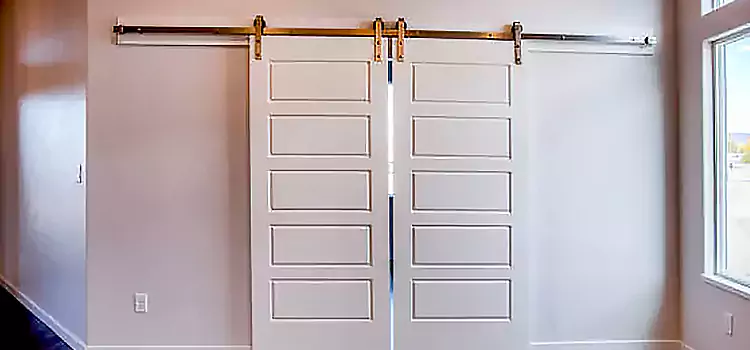 Glass Barn Door with Installation Hardware Kit Wekiwa Springs