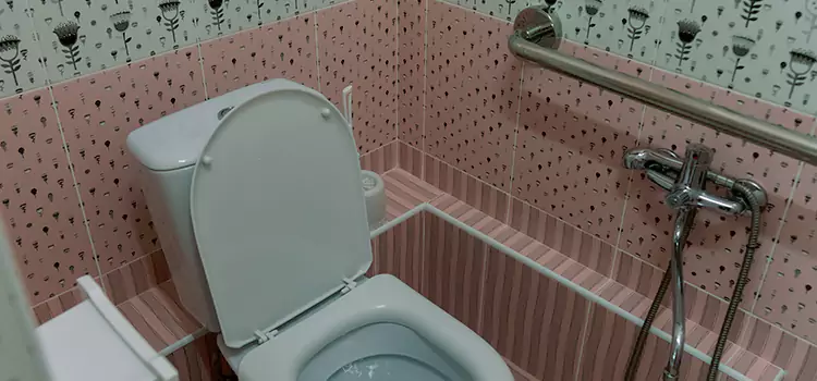 Meeting Diverse Needs With Accessible Restroom Solutions in Wekiwa Springs, FL