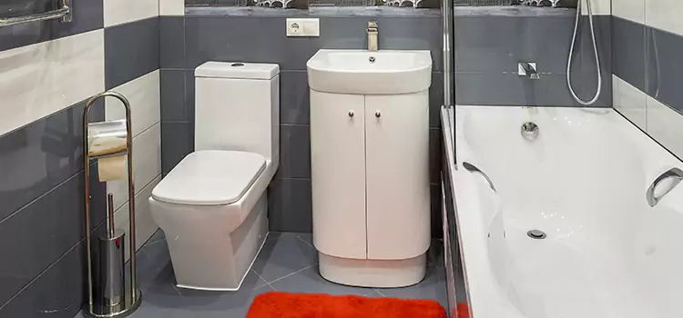 Hansgrohe Shaving Mirror Wekiwa Springs