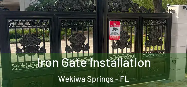  Iron Gate Installation Wekiwa Springs - FL