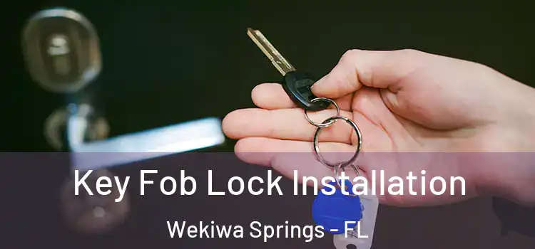  Key Fob Lock Installation Wekiwa Springs - FL