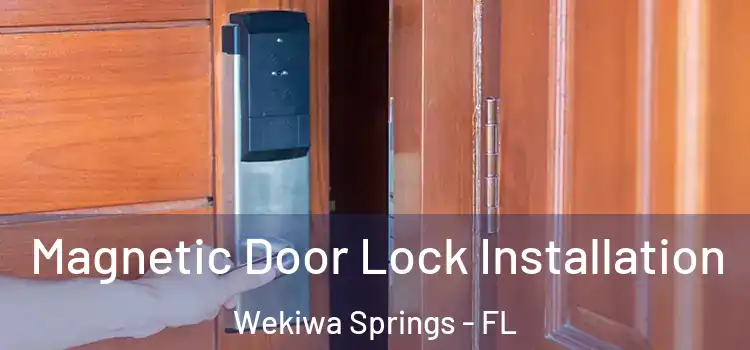  Magnetic Door Lock Installation Wekiwa Springs - FL