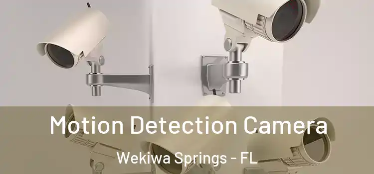  Motion Detection Camera Wekiwa Springs - FL