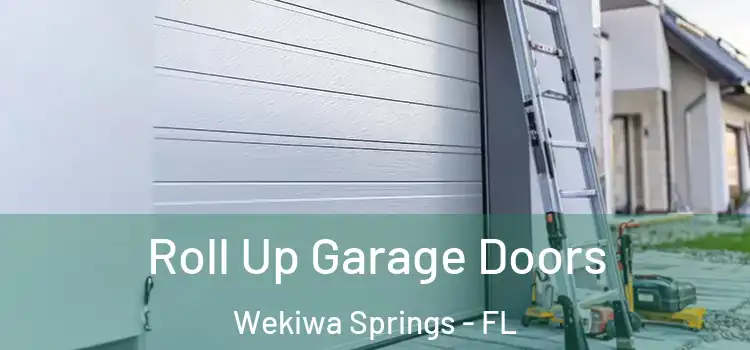  Roll Up Garage Doors Wekiwa Springs - FL