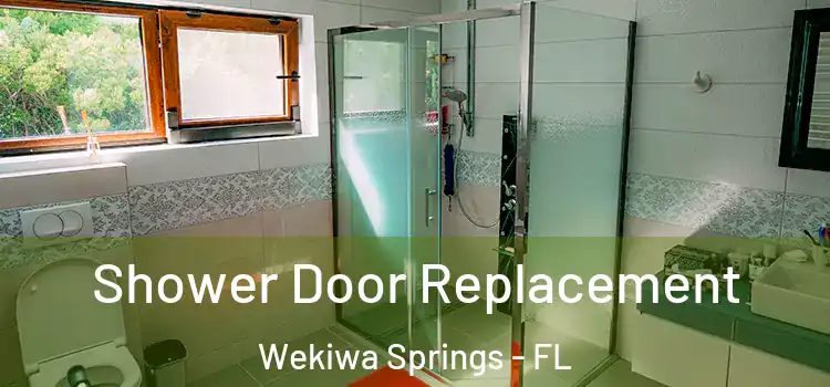  Shower Door Replacement Wekiwa Springs - FL