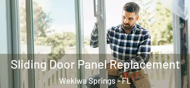  Sliding Door Panel Replacement Wekiwa Springs - FL