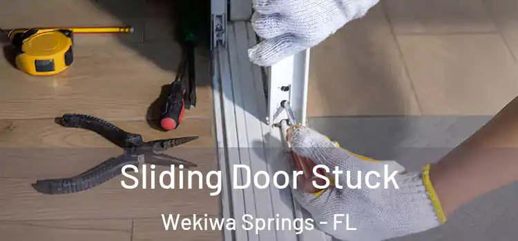  Sliding Door Stuck Wekiwa Springs - FL