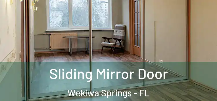  Sliding Mirror Door Wekiwa Springs - FL