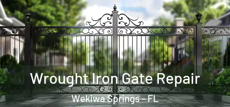  Wrought Iron Gate Repair Wekiwa Springs - FL